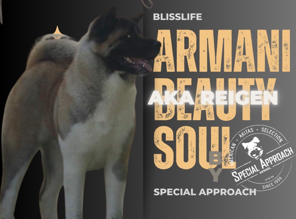 blisslife Armani beautysoul