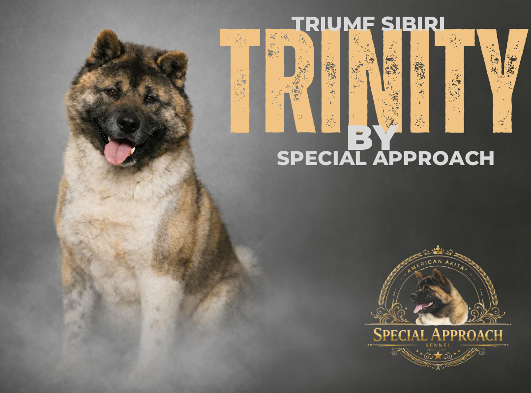 triumf sibiri Trinity