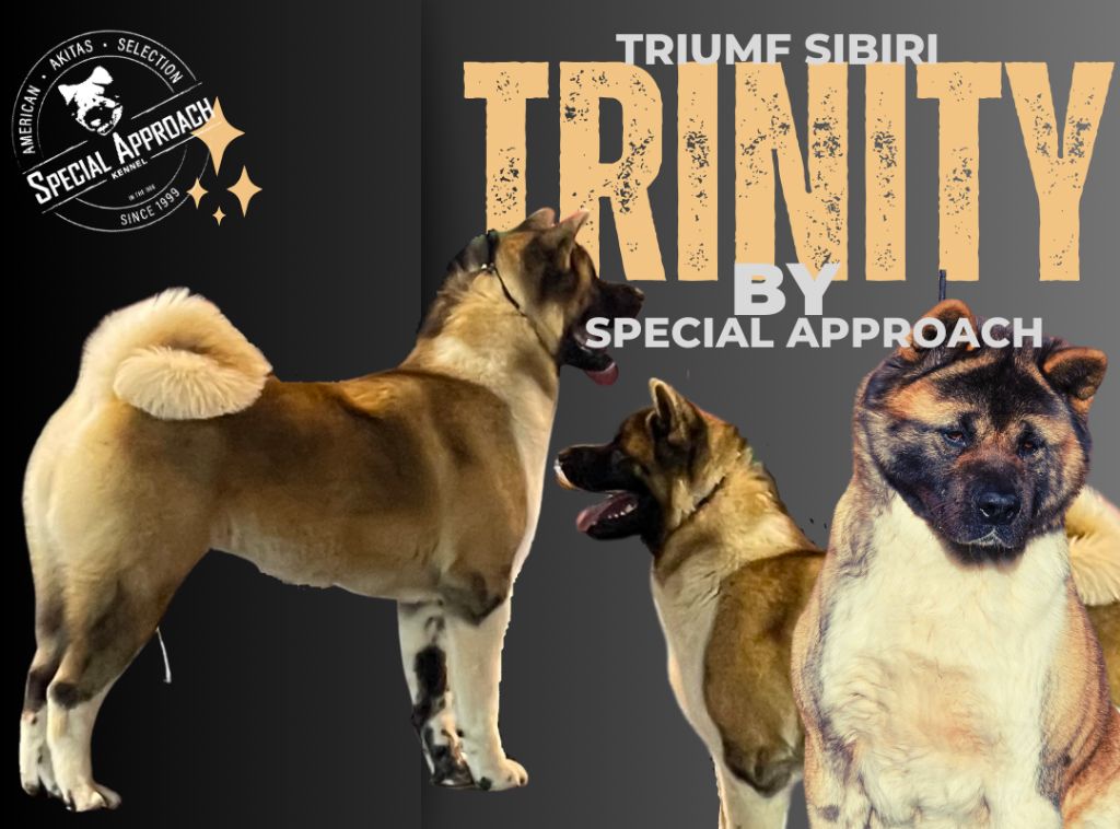triumf sibiri Trinity