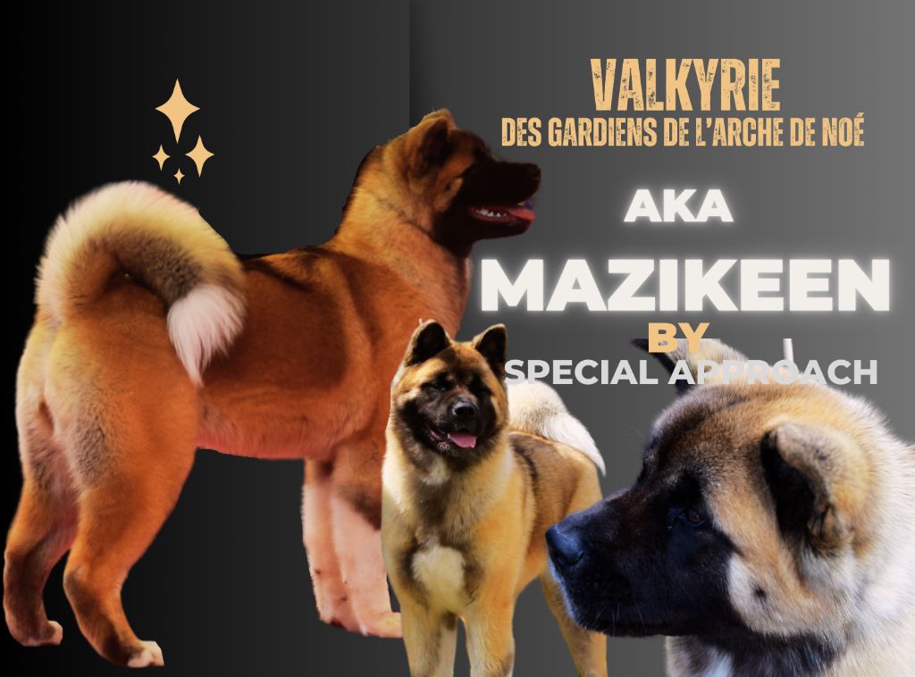 Valkyrie aka maizikeen Des Gardiens De L'arche De Noé