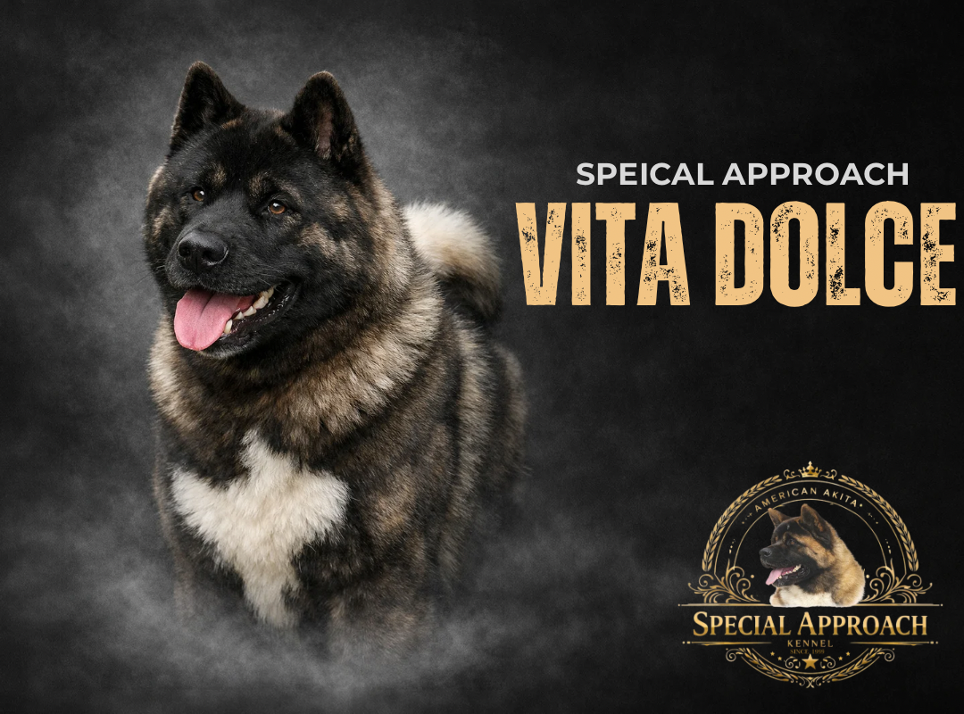 Special Approach Vita dolce