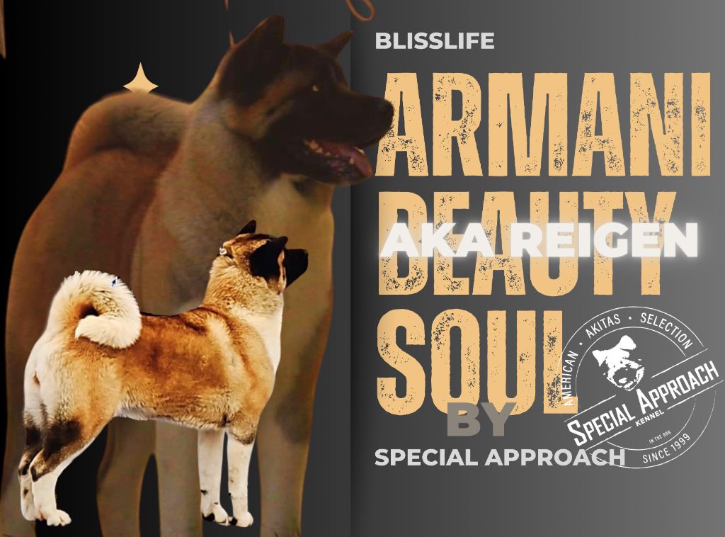 blisslife Armani beautysoul