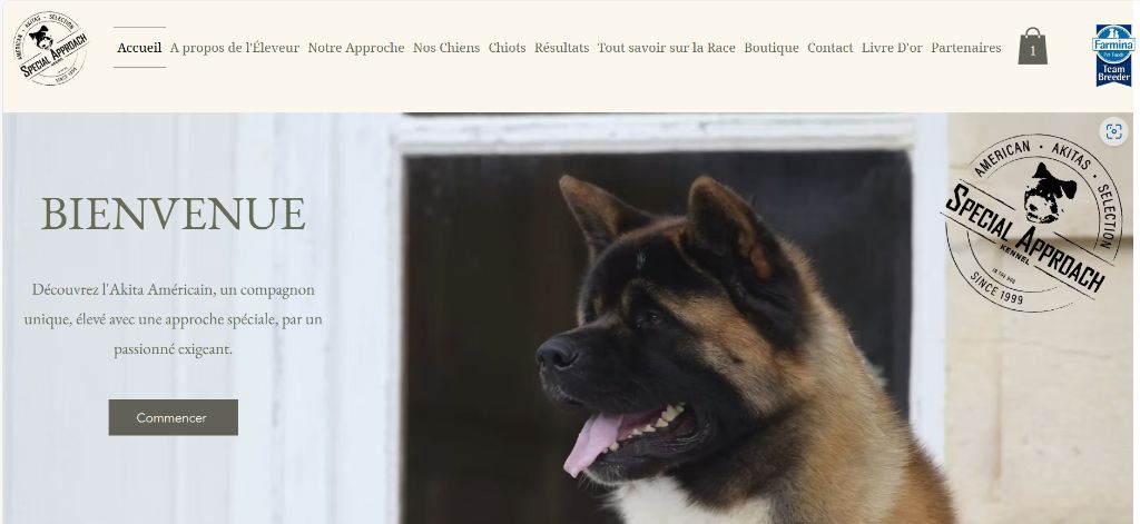 Nouveau Site Internet 