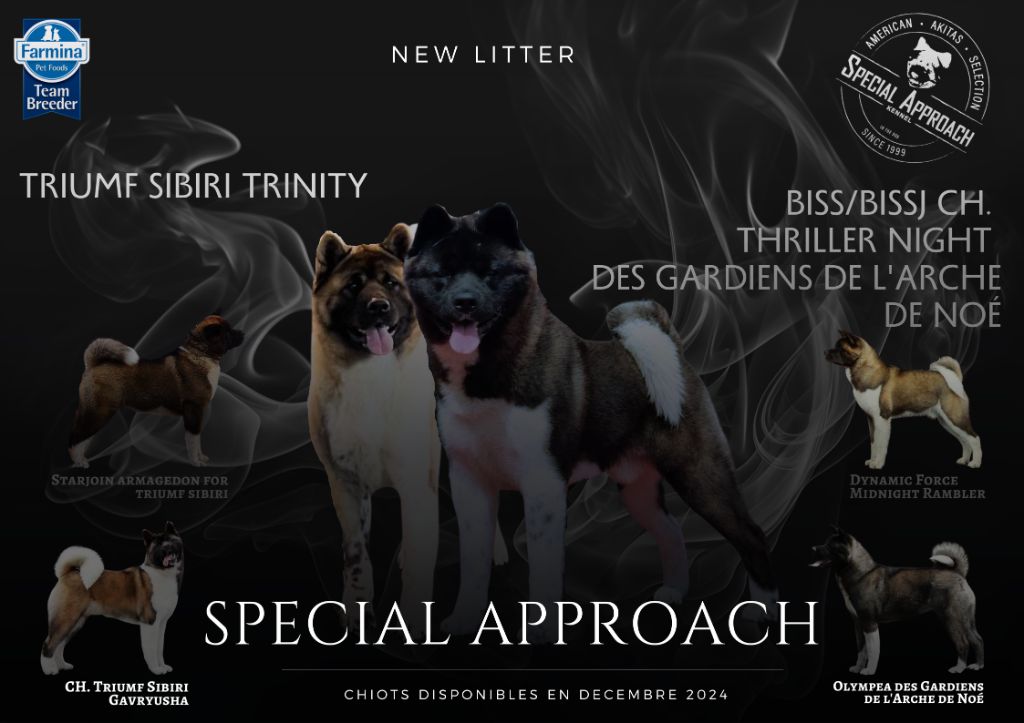 Special Approach - Trinity, gestation confirmée 